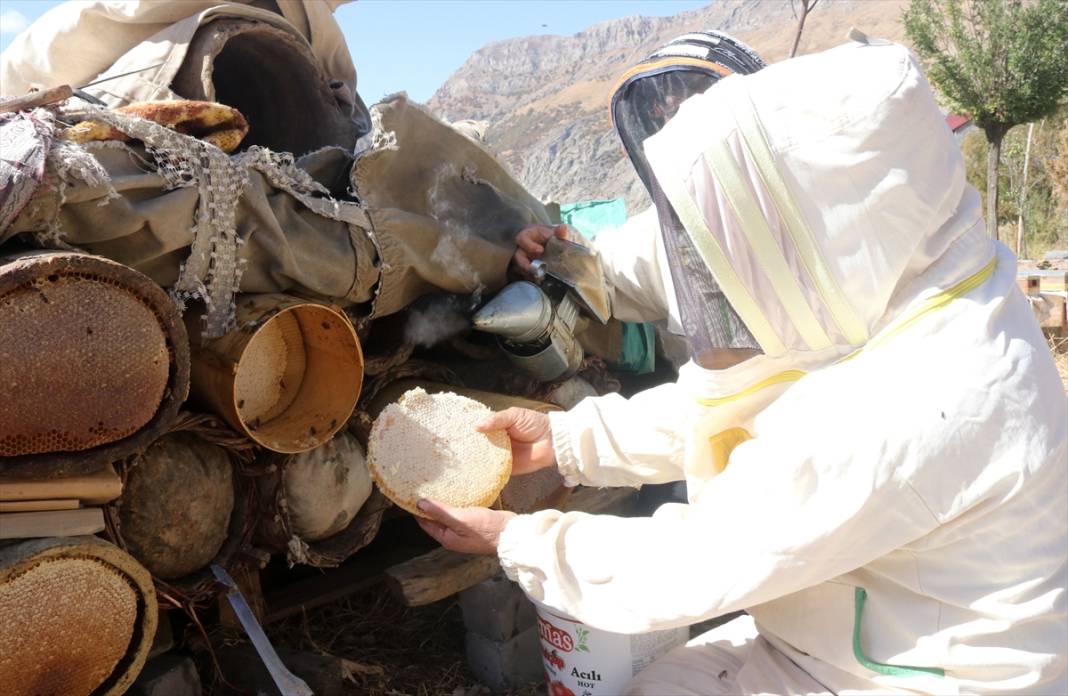 Terörün susturduğu köy, arılarla tekrar hayat buldu 10